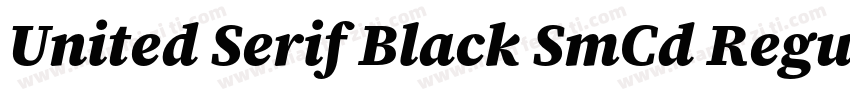 United Serif Black SmCd Regular字体转换
